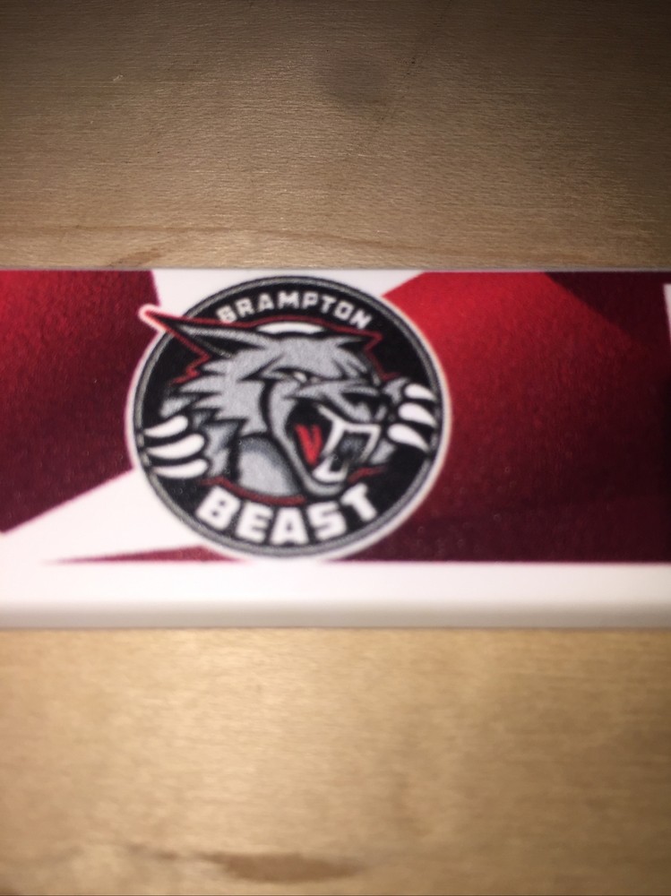 New ECHL Brampton Beast MINI HOCKEY STICK