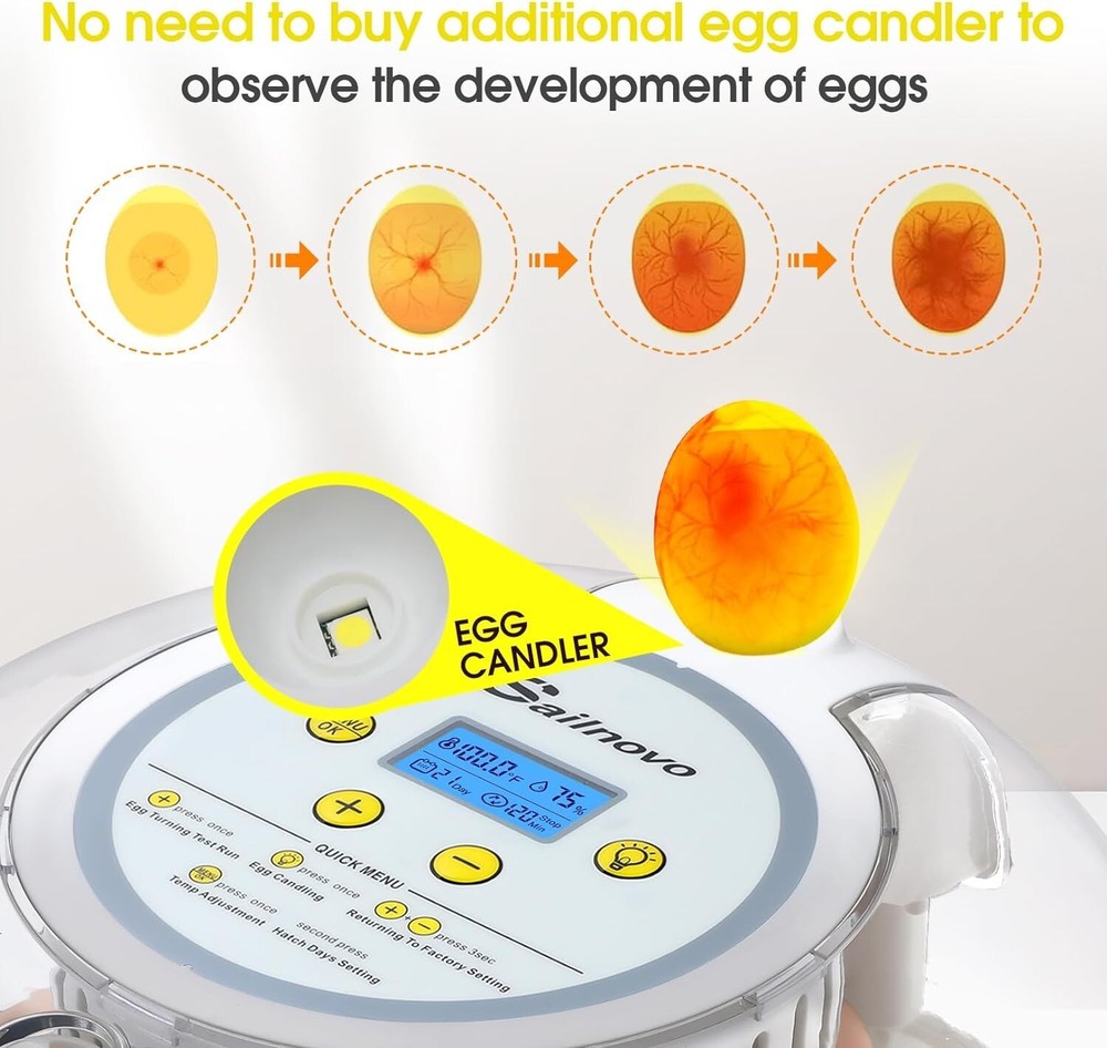18 Egg Poultry Incubator for Hatching Chick Automatic Turning Stop Egg Incubator