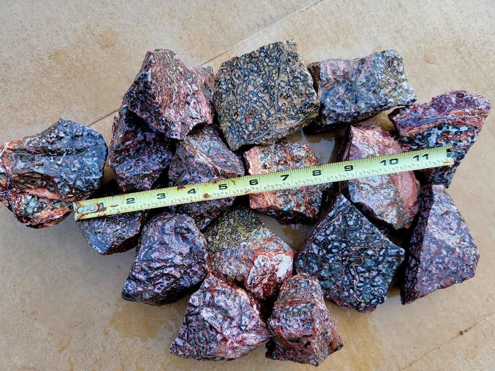 Random Pull Mexican Leopard Skin Rhyolite Rough!