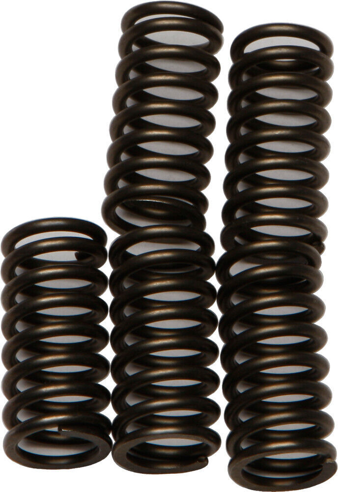 EBC CSK179 Clutch Springs CSK179