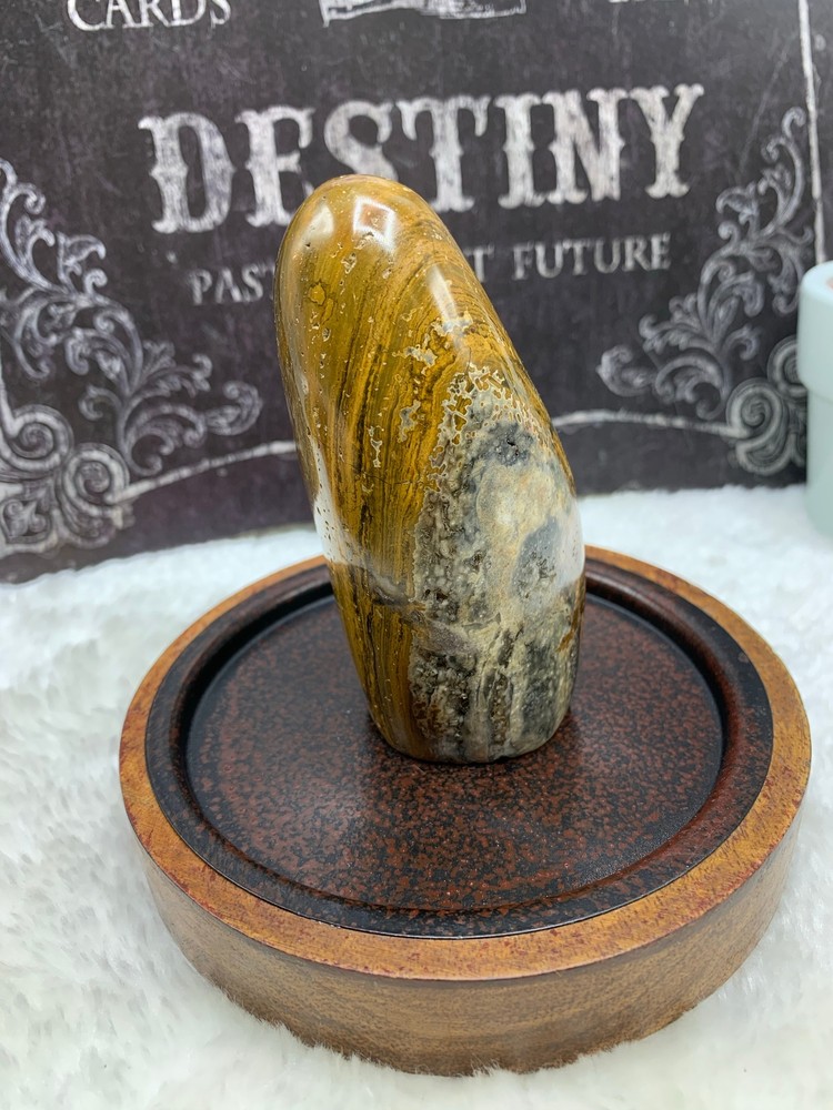 Ocean Jasper Free Form- OJ21