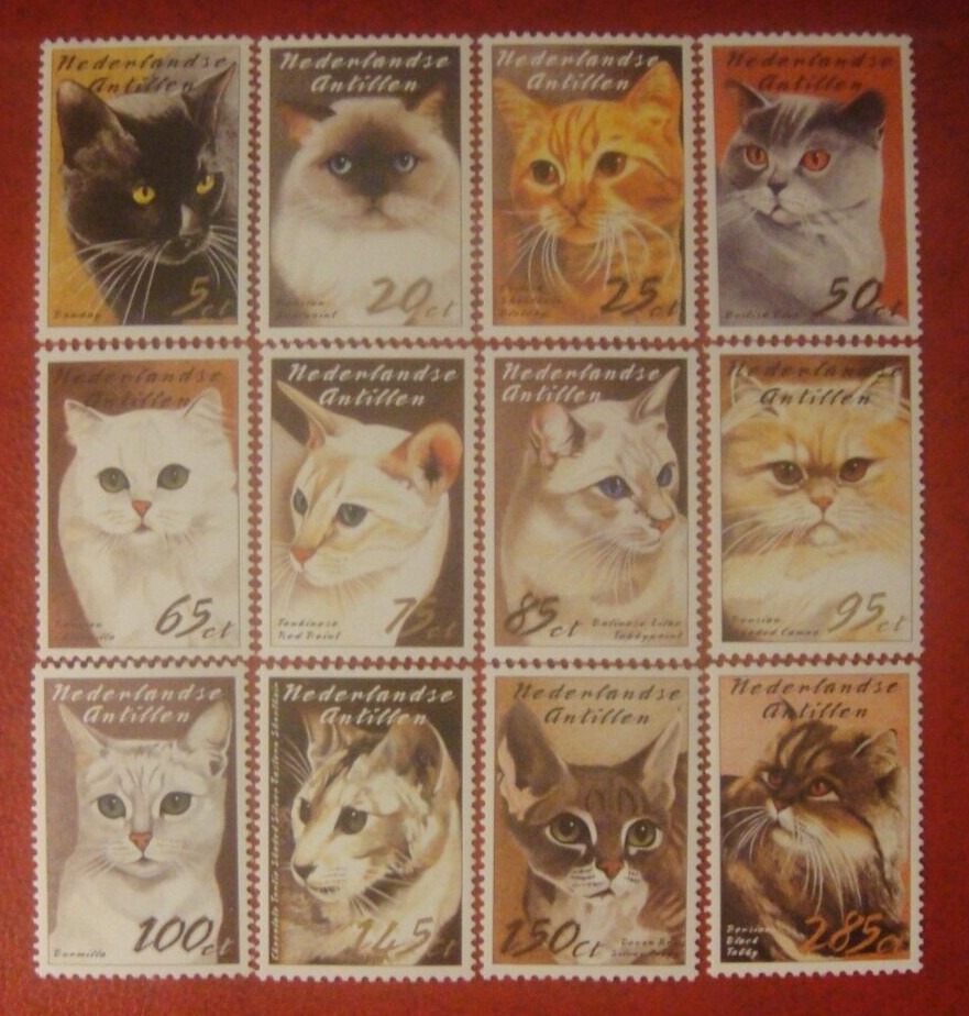 Netherlandse Antilles 2003. Cats. Mint Unhinged.