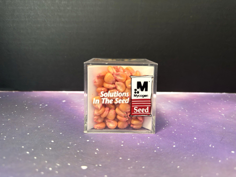 vintage MYCOGEN SEEDS COMPANY Solutions in the Seed Sample Desk Display cube