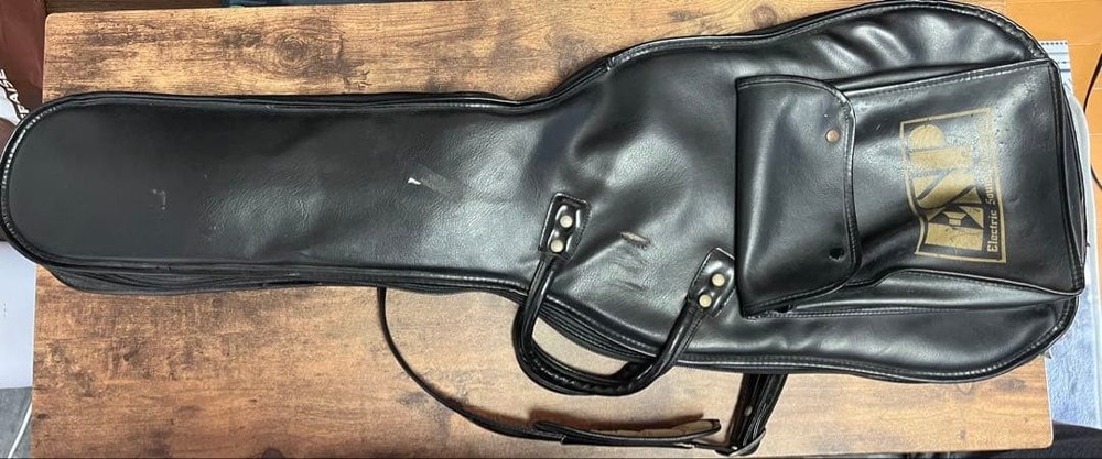 ESP Guitar Gig Bag Strap Safe Packing!