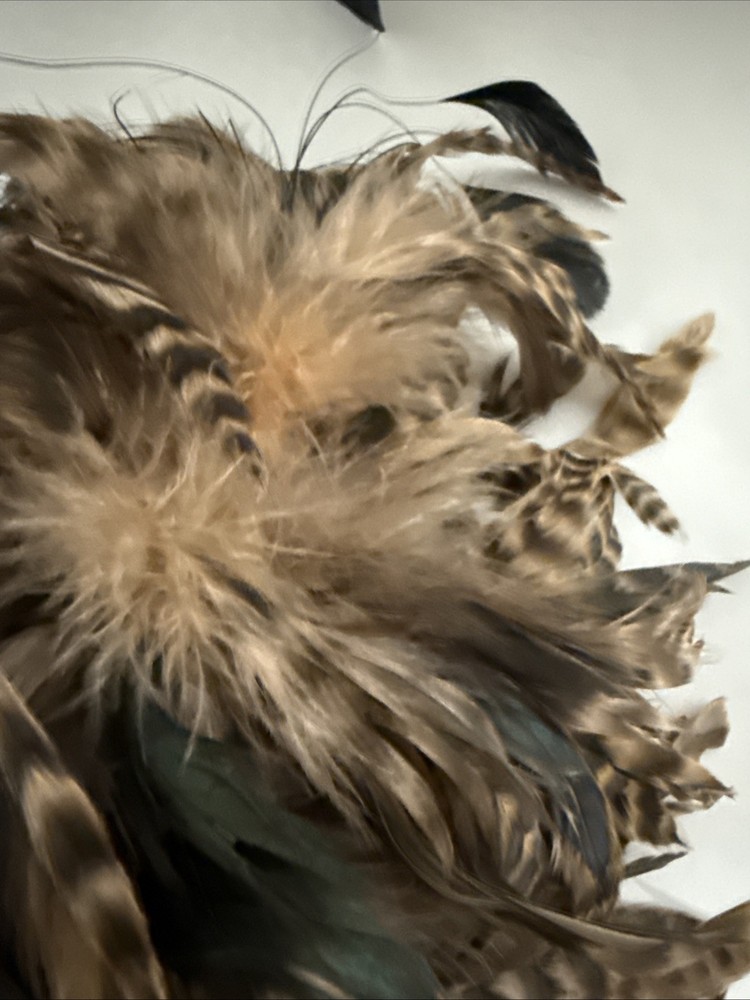 Real Feather Duster with Rope Hook and Wooden Handle