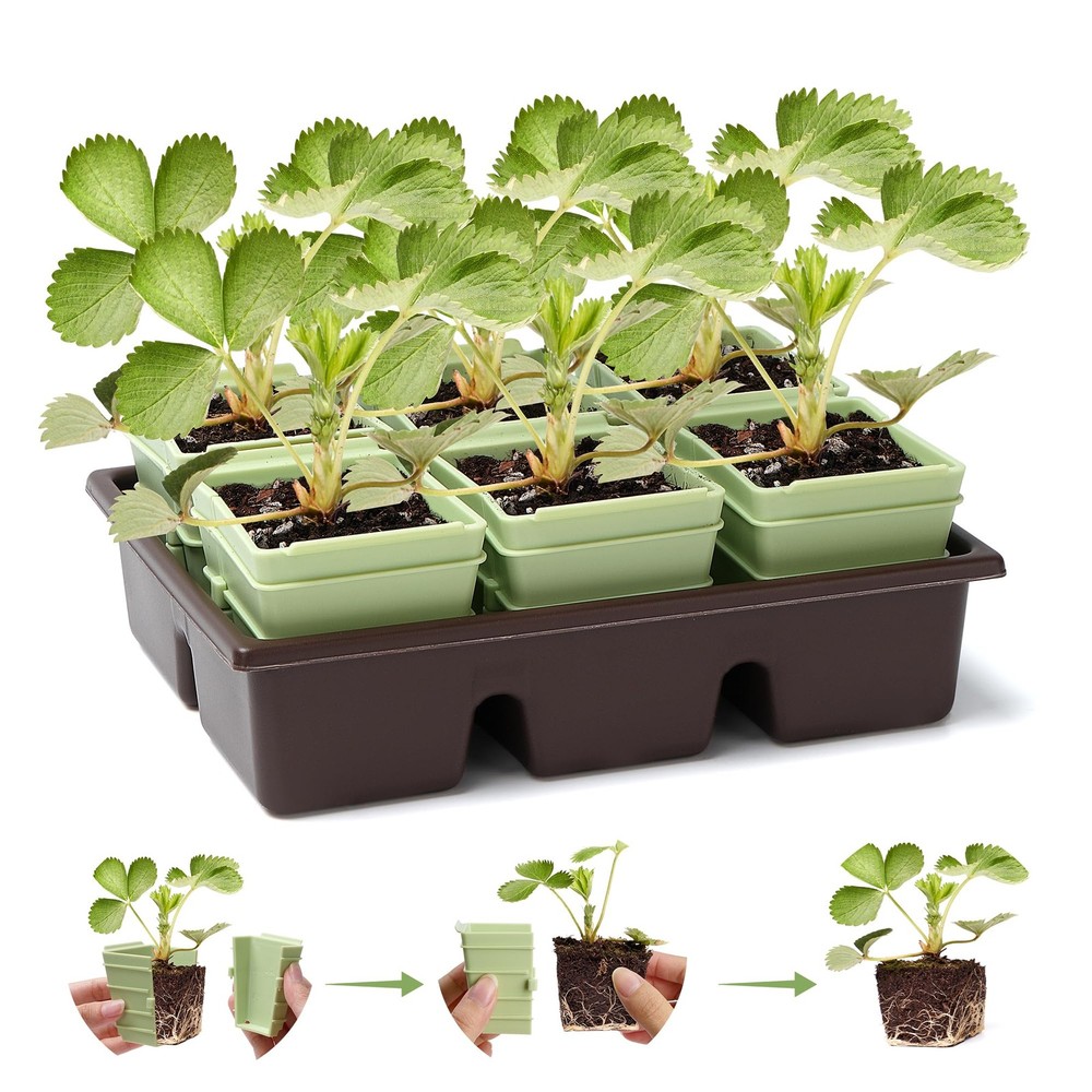 GREENBAZZAR Side-Open Seed Starter Tray 4-Pack, 24 Cells Modular Design with ...