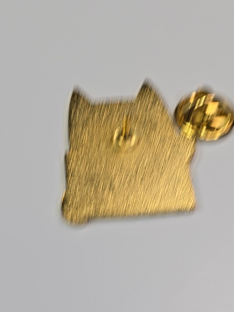 Grab Back Black Cat Lapel Pin