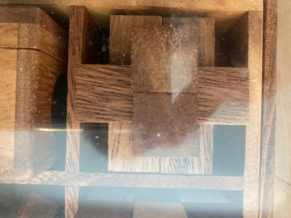 6 Wooden Brain Teasers Collection