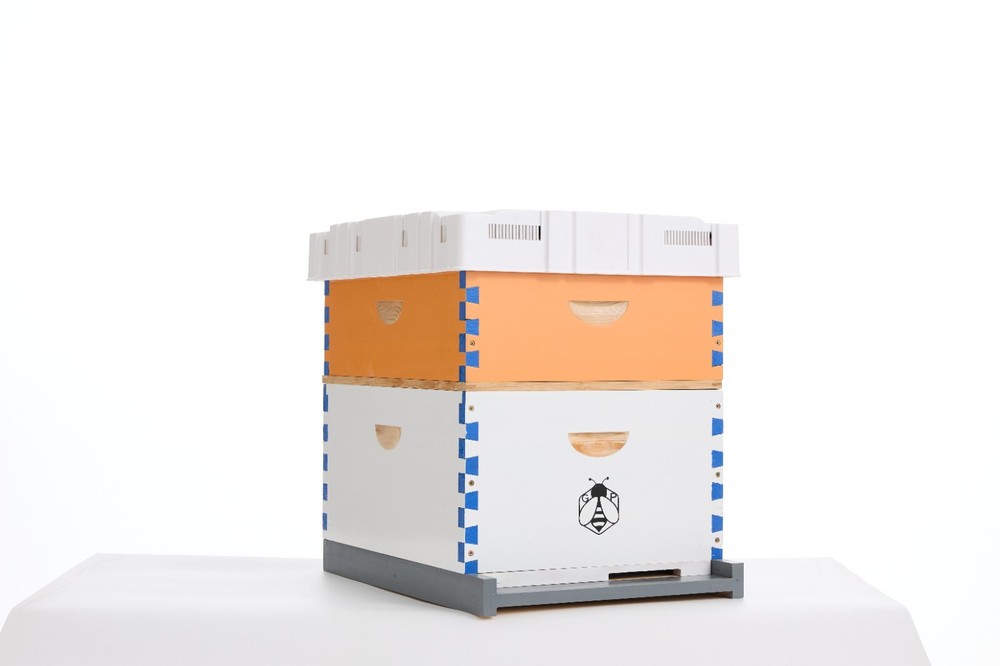 Langstroth Bee Hive Beehive Kit - 20 Frame Box 10 Deep 10 Medium Beekeeping Box