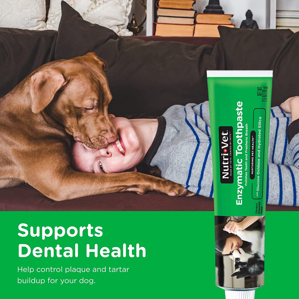 Enzymatic Chicken Flavored Canine Toothpaste