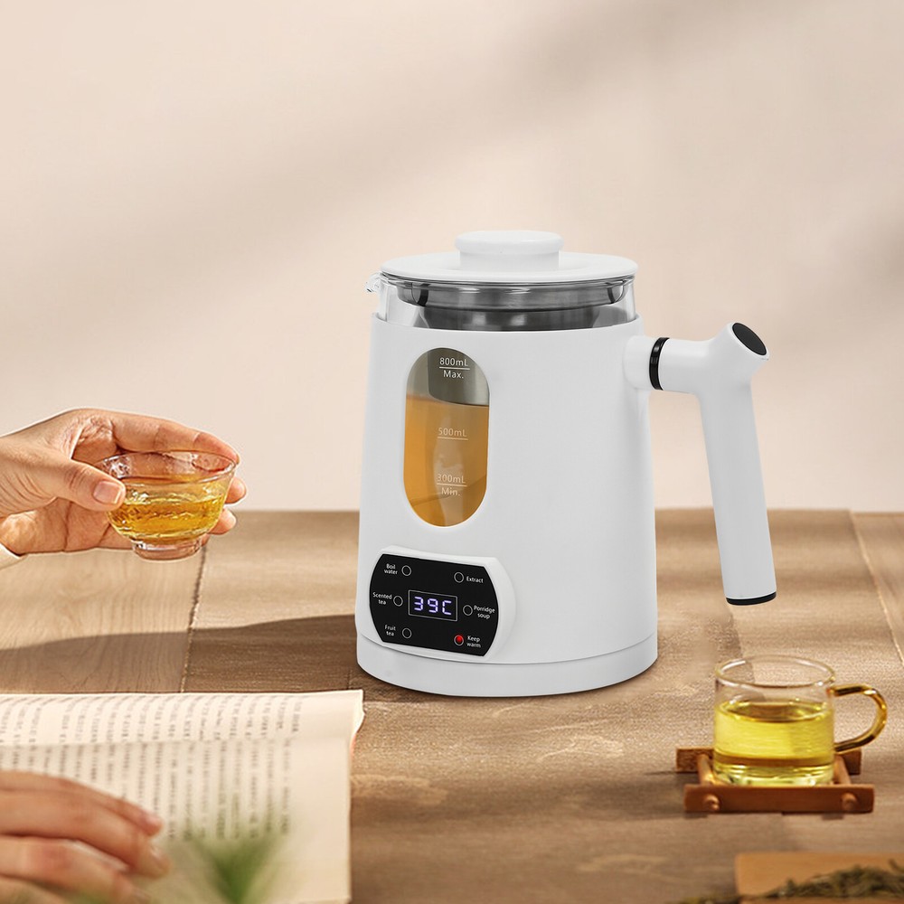 6 Functions Temperature Control Electric Tea Kettle With Tea Steamer Mesh White