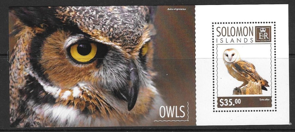 SOLOMON ISLANDS 2014 OWLS (2) MNH