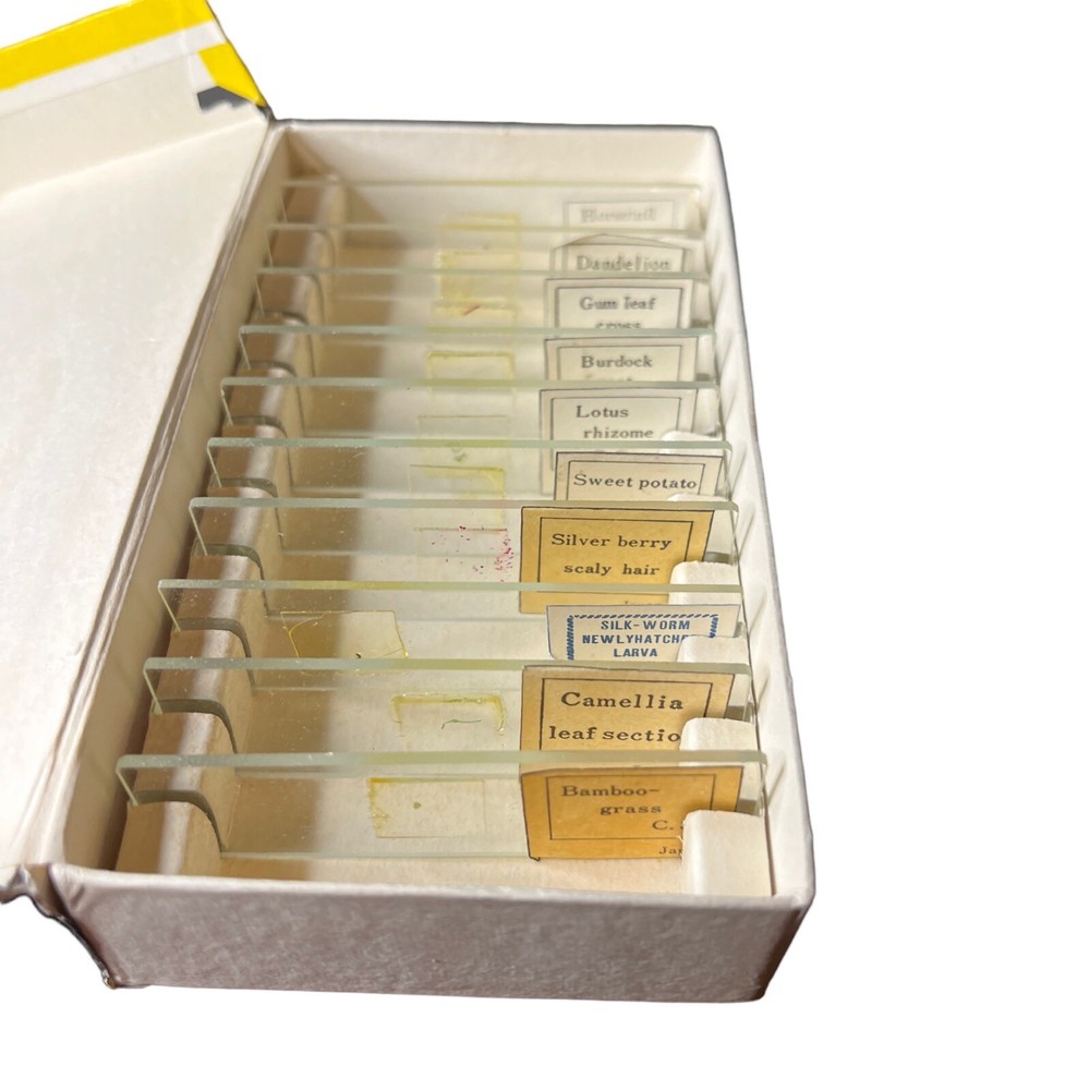 Vintage MICROSCOPE PREPARED SLIDES~2 Sets Vegetables & Tiny Creatures~Made Japan