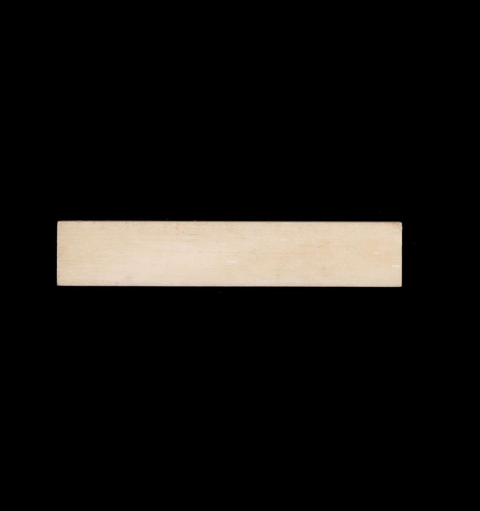 Tone Ninja Genuine Bone Nut Blank, Unbleached 5/16" thick NUT-NU26