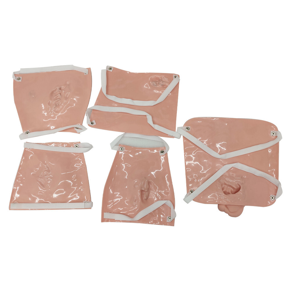 Patient Care Burn Teaching Model 24 Wound Modules Care NursingTraining Model