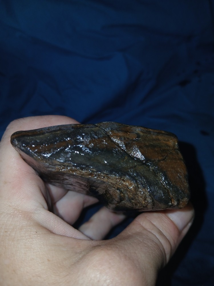6.7 oz Agatized Petrified Wood