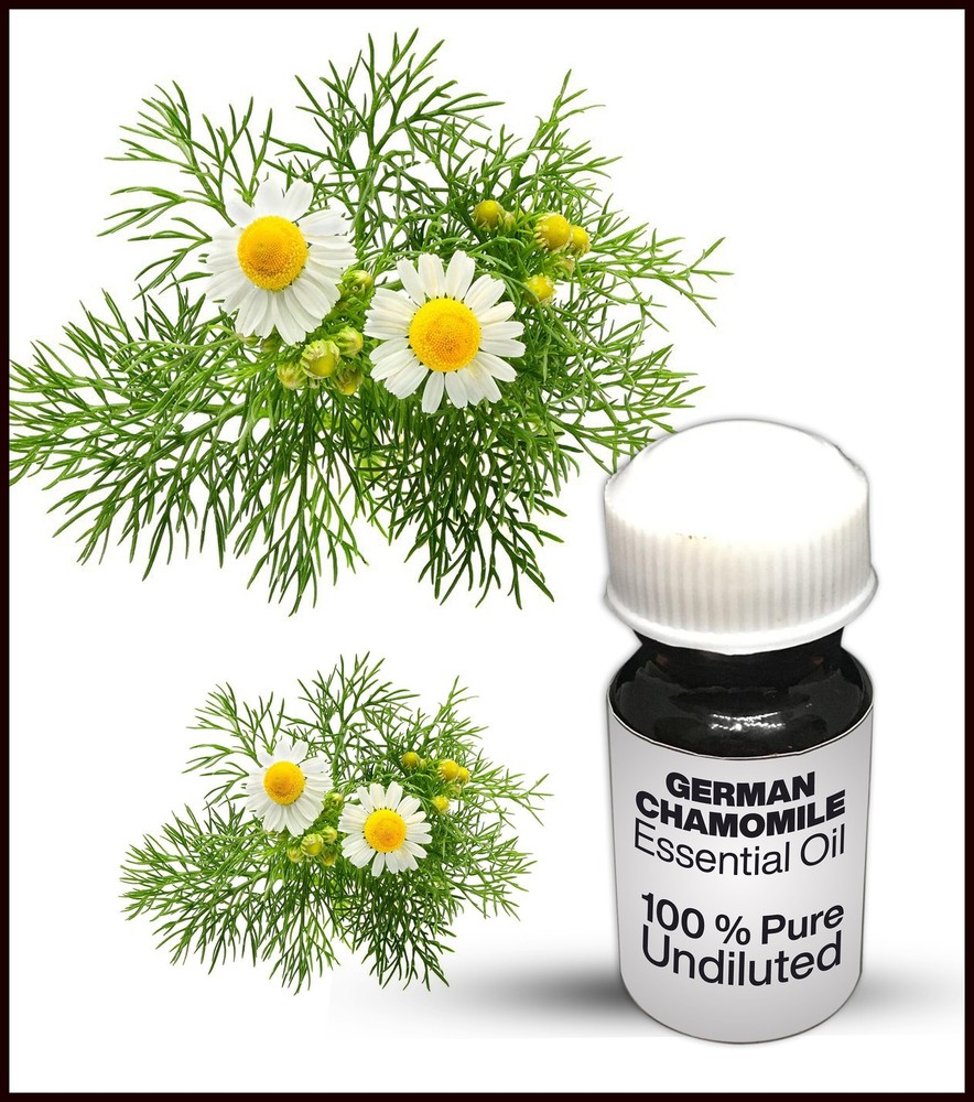 German Chamomile Essential Oil 100% Pure Undiluted (10ML-500ML)