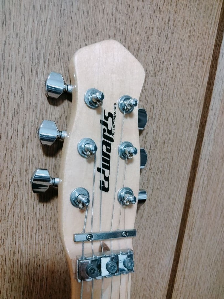 Edwards Electric Guitar Safe Packing!