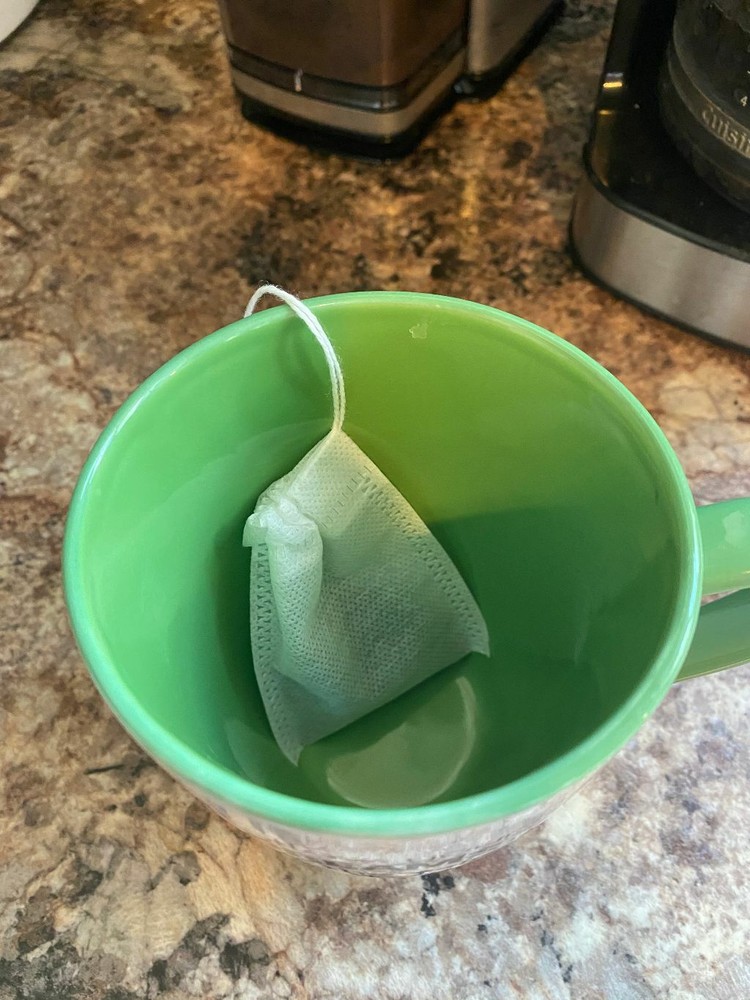 Eastern White Pine Tree Tea DIY Kit Organic Wild Suramin Immunity Boosting