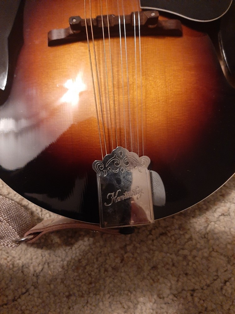 mandolins musical instrument used