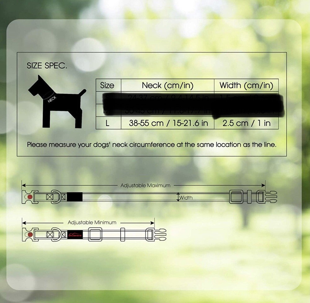 New Qinjianghe leash and collar set - Both Large