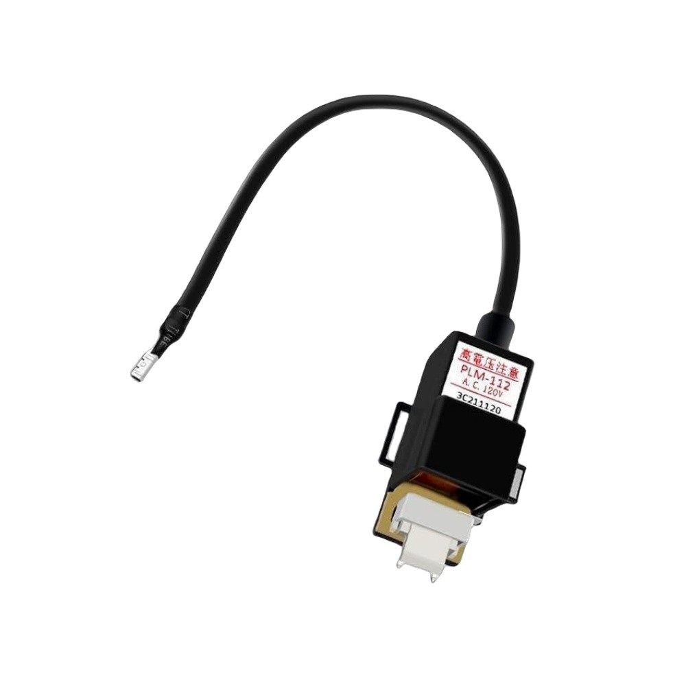 Tankless Water Heater Parts RTG20235C 120v for Richmond Ignitor Coil and Ruud