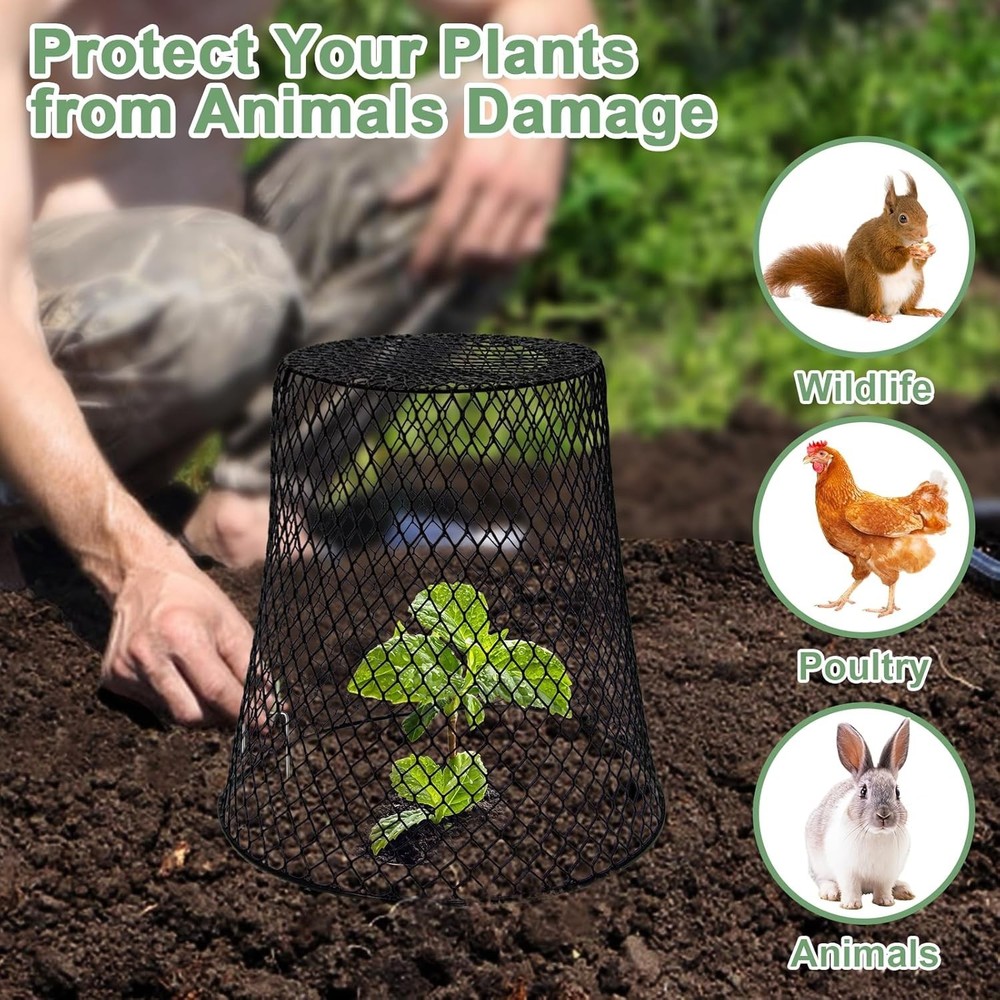 Chicken Wire Garden Cloches x10