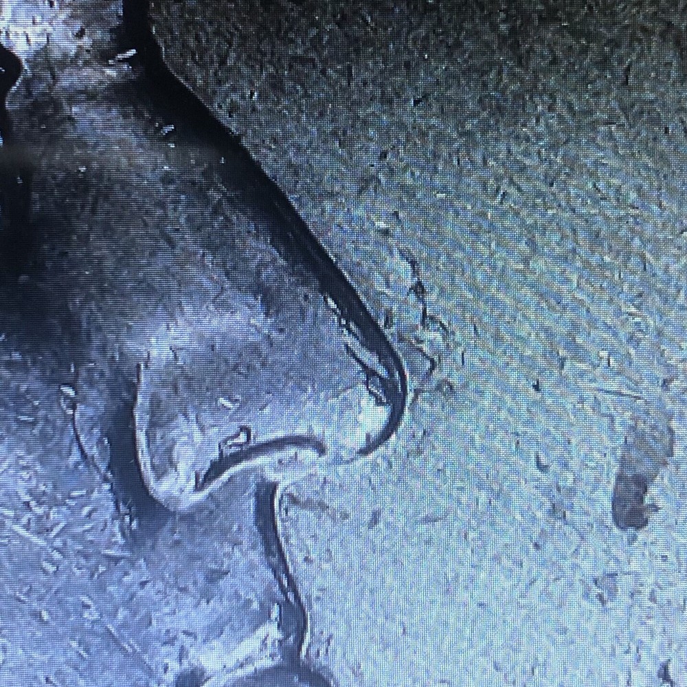 4 ERROR Edith Kanaka’Ole Quarters