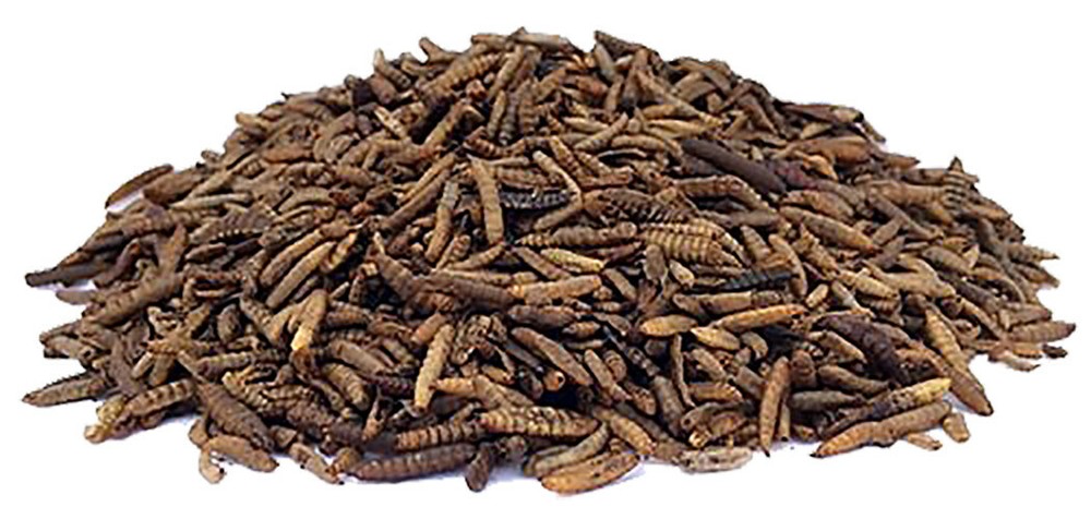 UltraCruz Poultry Grubs, 1 lb