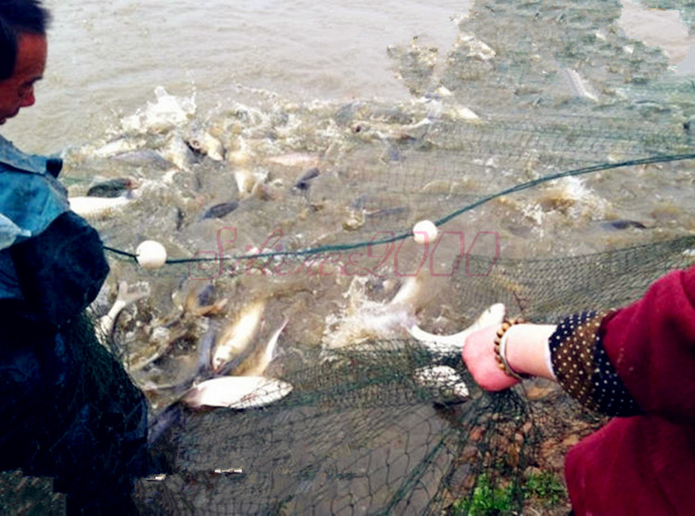 Hand Made Beach seine/ Drag Nets Or Can Customize