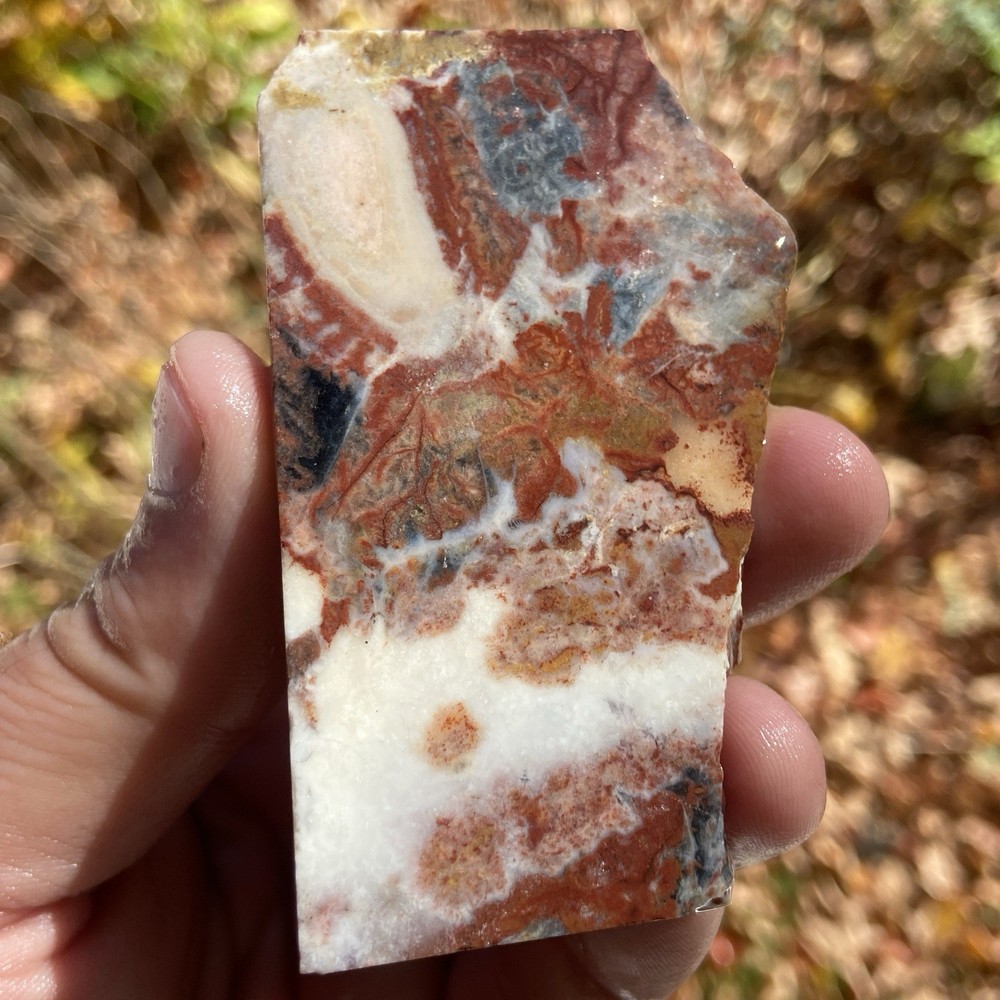 Vibrant Brecciated Jasper Slab 2 Oz