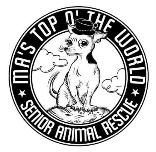 GJS - BIG TUBE - white decal set