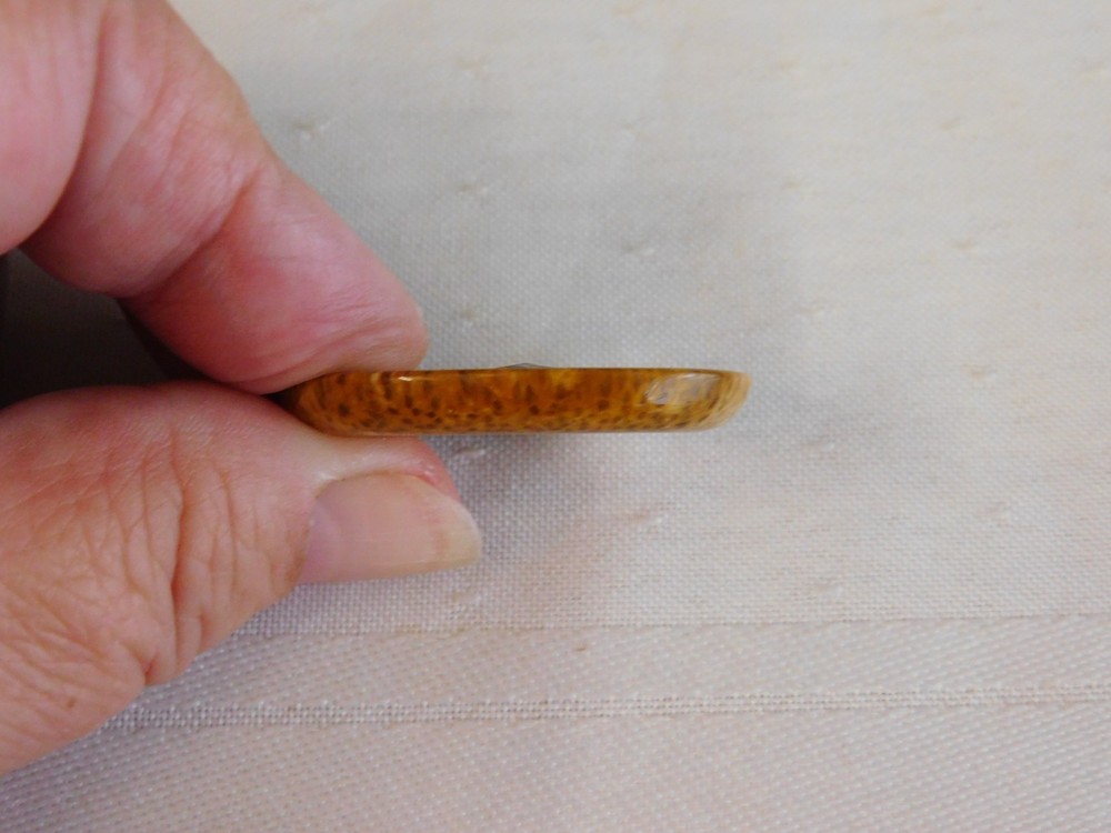 Fossil Palm Wood Cabochon
