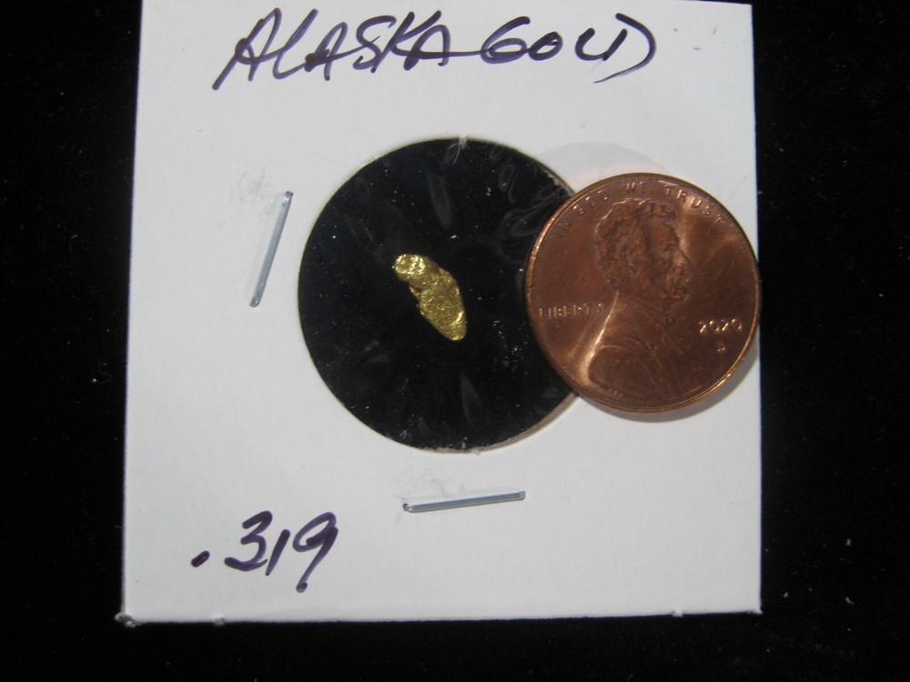 ALASKA GOLD  .319 GRAM