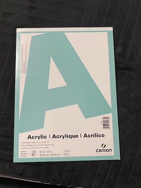 canson acrylic paper 10 sheet 9x12 110 lb