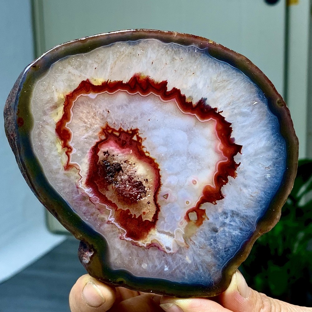 287G Natural Beautiful Agate Geode Druzy Slice Extra Large Gemstone