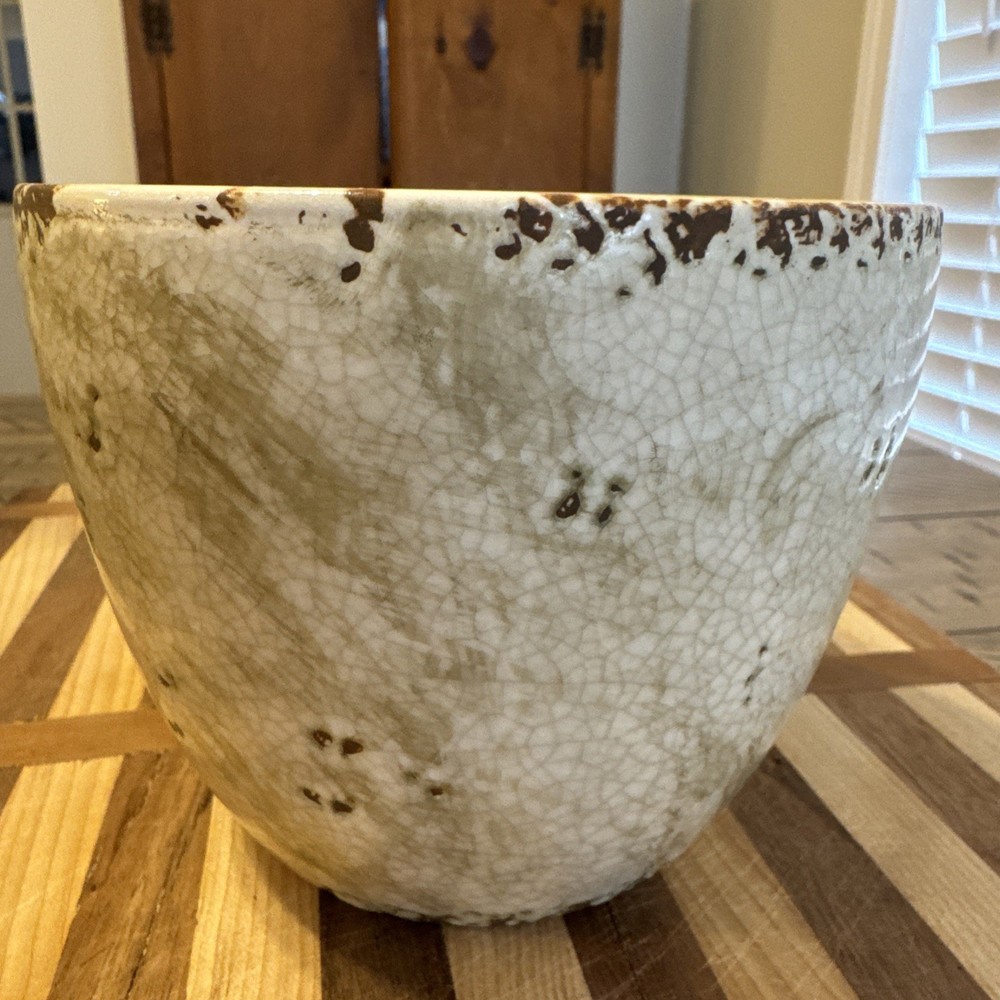 Transpac Large Ceramic Bird Container Planter/Catch all bowl