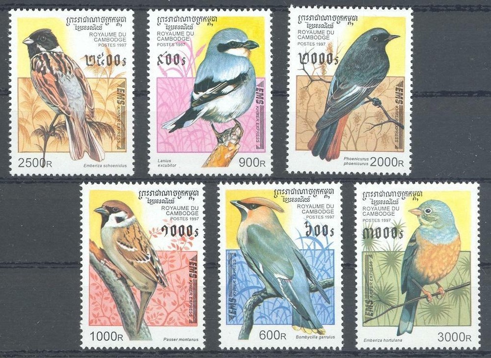 (054376) Birds, Cambodia