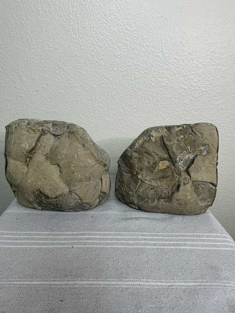 Serpentine Geode Slice Polished Dragon Stone Bookends