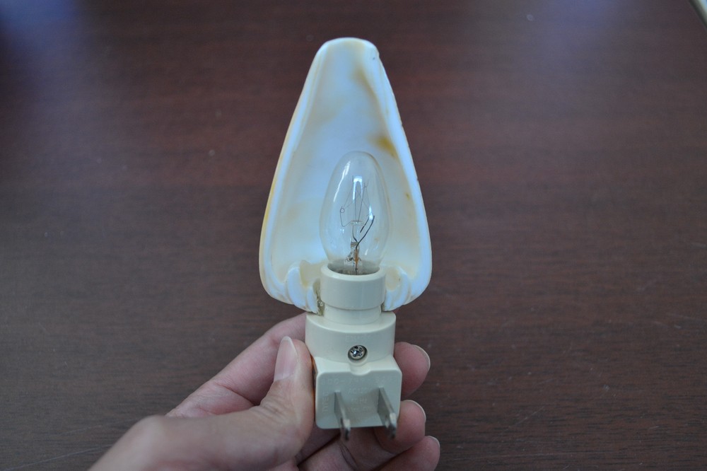 SPOTTED CONUS SEA SHELL NAUTICAL HOME DECOR KITCHEN BEDROOM NIGHTLIGHT