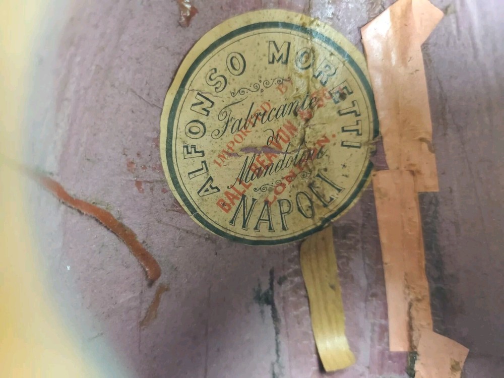 Mandolin 4/4 Alfonso Moretti 1915 Naples 曼陀林 만돌린マンドリン