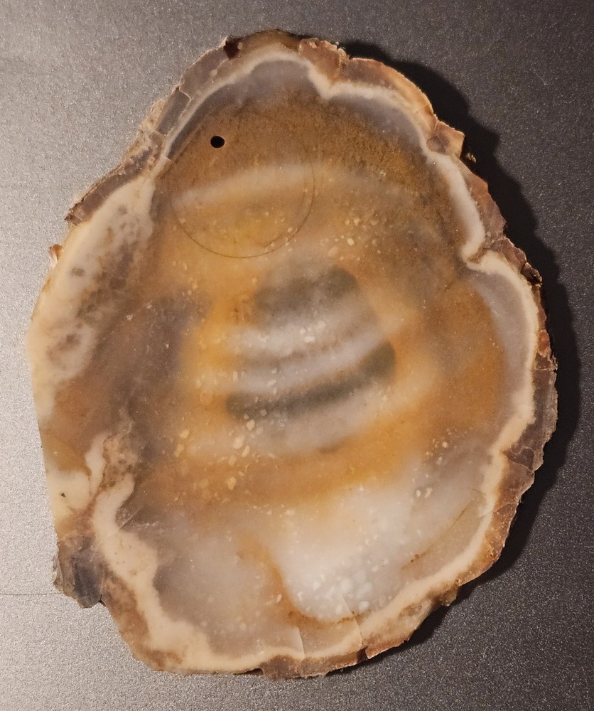 Agate Lapidary Slab 101 Grams