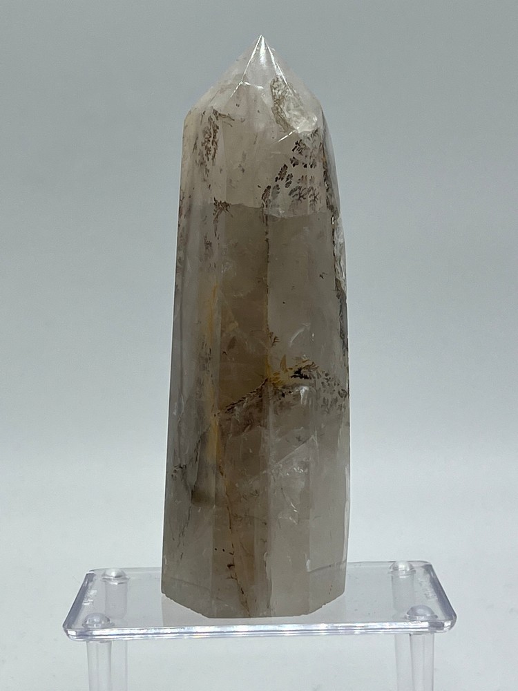 Dendritic Quartz H