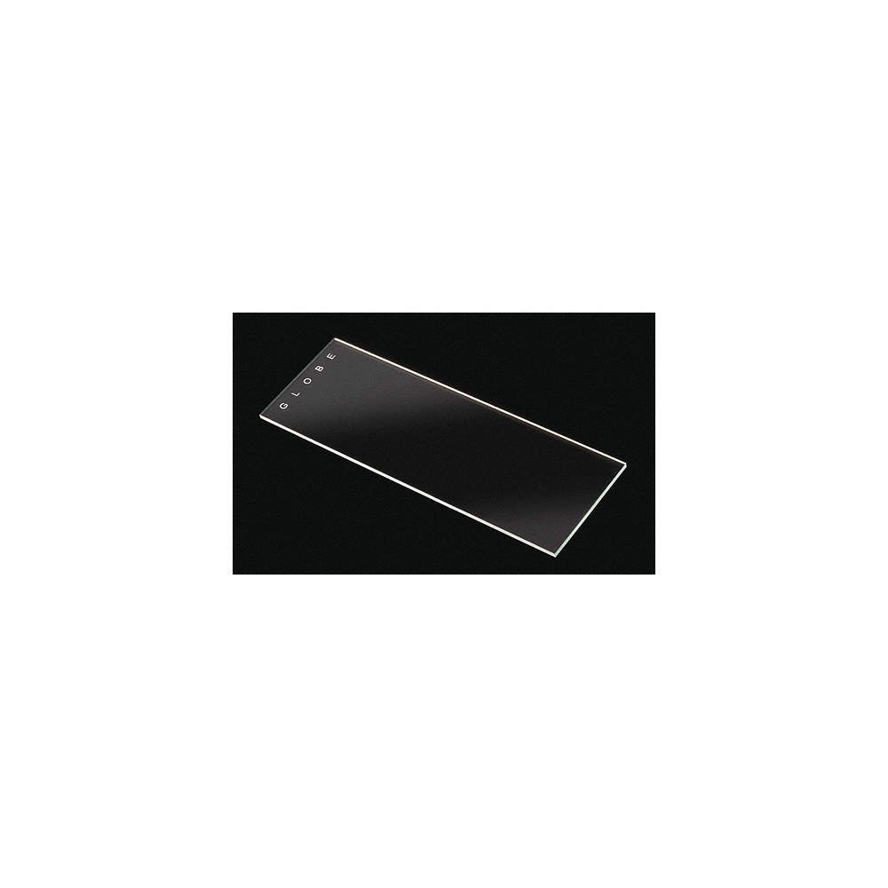 GLOBE SCIENTIFIC 1301 Microscope Slide,Clear,PK144 46AW45