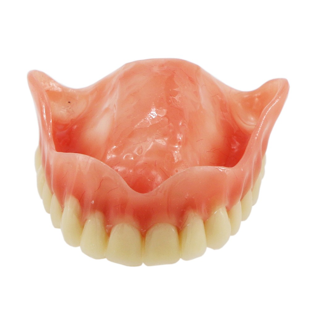 Dental Typodont Teeth Model 4 Implants Upper Overdenture Superior M6001 Clear