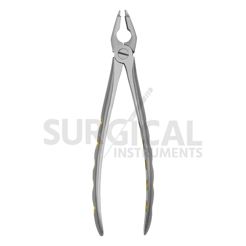 Heavy Duty Extraction Forceps #F3 Gold Hollow Python Grip Handle German Grade