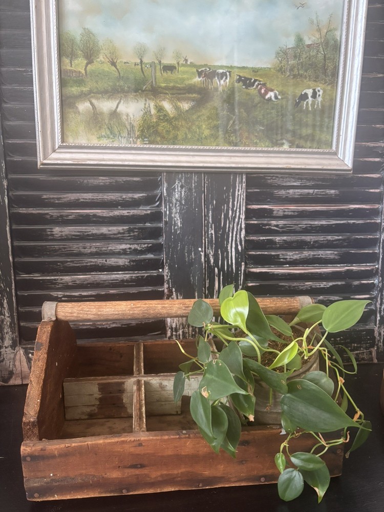 Old Rustic Tool Box