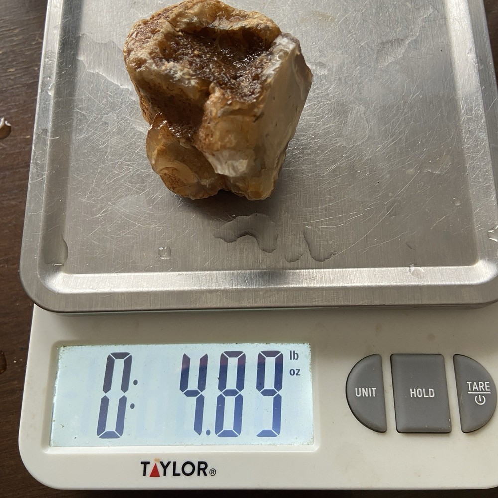 Gobi Agate Raw Rough Or Specimen 4.89 Oz