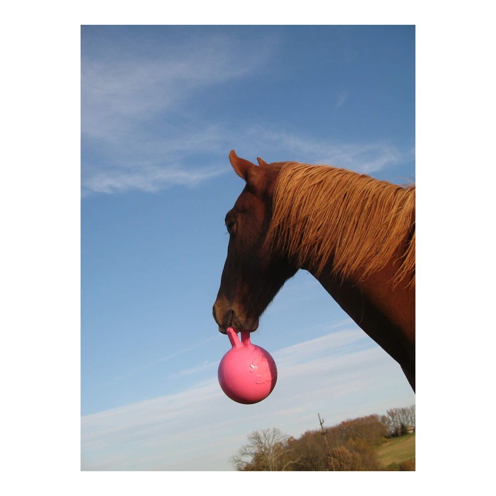 Jolly Ball 10" Scented Bubble Gum