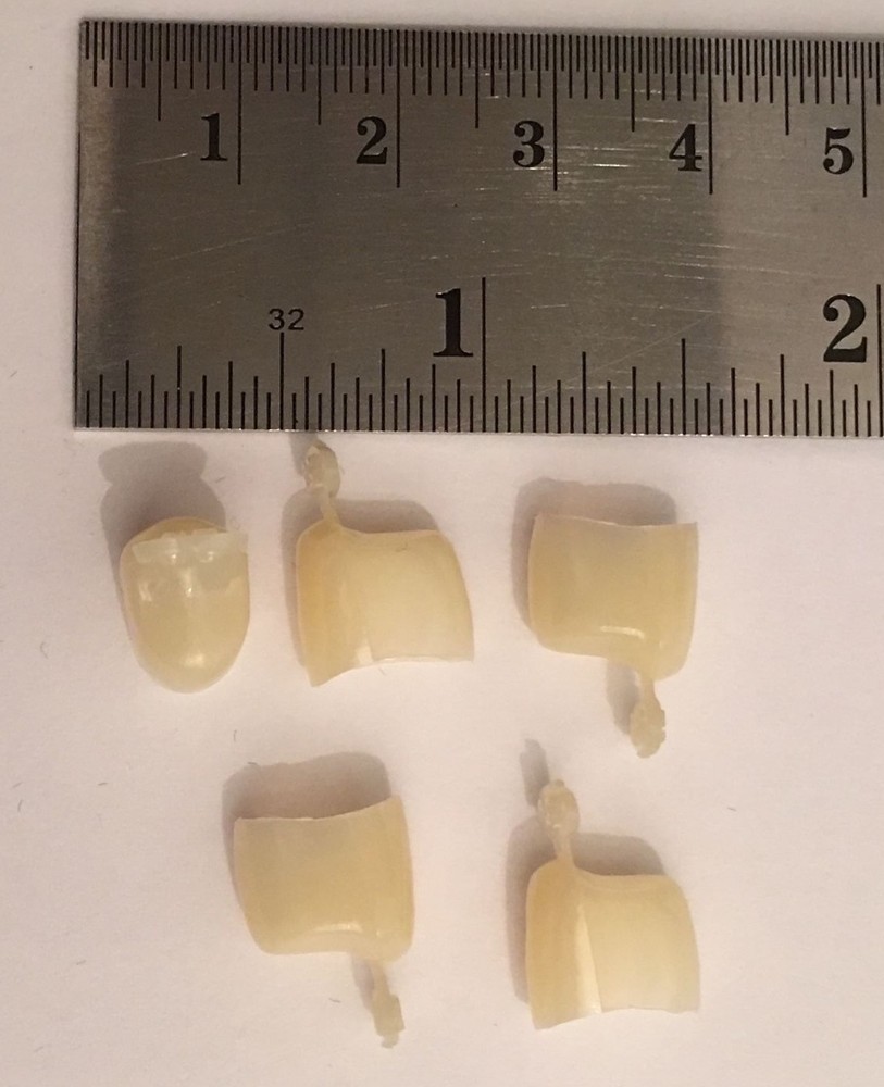 Dental Polycarbonate Temporary Crowns 5 pcs #50